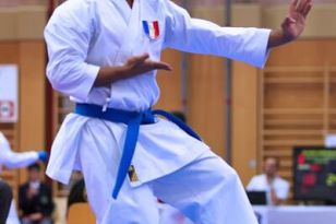 seibukan_Karate1_Premier_League_and_Youth_World Cup_Salzburg_2013_148.jpg