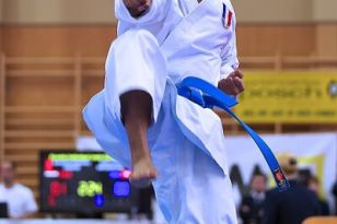 seibukan_Karate1_Premier_League_and_Youth_World Cup_Salzburg_2013_149.jpg