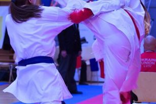 seibukan_Karate1_Premier_League_and_Youth_World Cup_Salzburg_2013_153.jpg