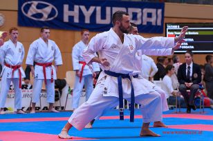 seibukan_Karate1_Premier_League_and_Youth_World Cup_Salzburg_2013_215.jpg