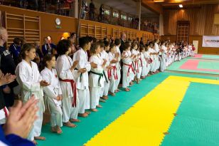 seibukan_Oesterr_Shotokan_Meisterschaft_2011_005.jpg