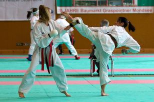 seibukan_Oesterr_Shotokan_Meisterschaft_2011_072.jpg