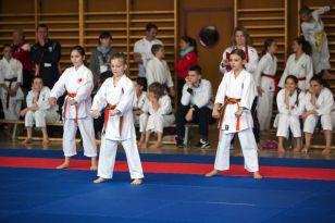 seibukan_Oesterr_Shotokan_Meisterschaft_2013_019.jpg