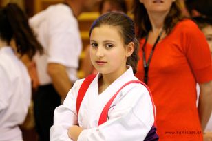 seibukan_Oesterr_Shotokan_Meisterschaft_StGeorgen_2012_059.jpg