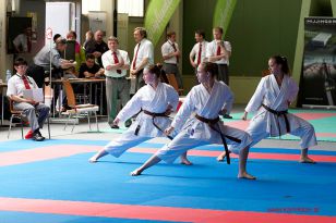 seibukan_Oesterr_Shotokan_Meisterschaft_StGeorgen_2015_022.jpg