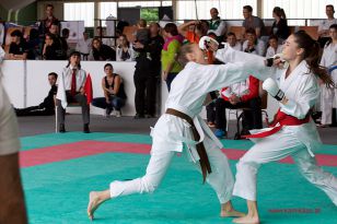 seibukan_Oesterr_Shotokan_Meisterschaft_StGeorgen_2015_109.jpg