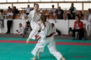 seibukan_Oesterr_Shotokan_Meisterschaft_StGeorgen_2015_111.jpg