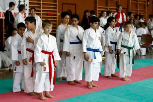 seibukan_Shotokan_Cup_2010_027.jpg