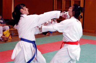 seibukan_Shotokan_Cup_2010_058.jpg