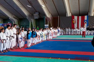 seibukan_Shotokan_OEM_2016_008.jpg