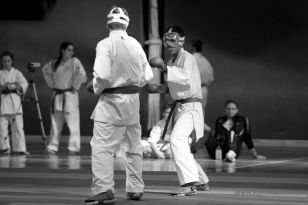 seibukan_Styrian_Open_Fuerstenfeld_2014_054.jpg