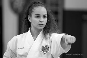 seibukan_Styrian_Open_Fuerstenfeld_2014_080.jpg