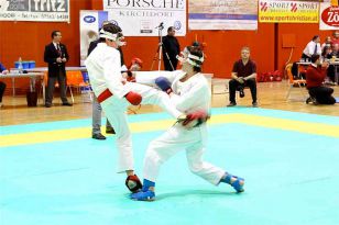 seibukan_VIII_Oesterr_Goju_Ryu_Wado_Ryu_Meisterschaft_2010_033.jpg