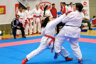 seibukan_WADO_KAI_Europameisterschaft_2012_195.jpg