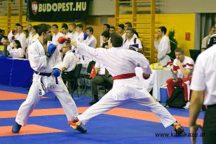 seibukan_Wado_Kai_EM_in_Budapest_2013_040.jpg