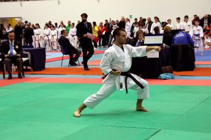 seibukan_World_Karate_Championship_italien_2016_019.jpg