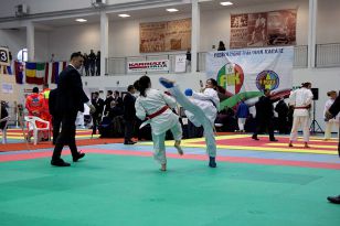 seibukan_World_Karate_Championship_italien_2016_056.jpg