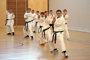 seibukan_Zwei_neue_Karate_Instruktoren _2015_008.jpg