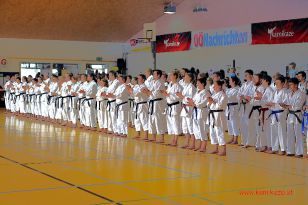 seibukan_8_Int_Kamikaze_Karate_Sommercamp_Neuhofen_2016_010.jpg