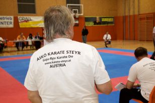 seibukan_Askoe_Landesmeisterschaft_in_Linz_Kirchdorf_2015_220.jpg