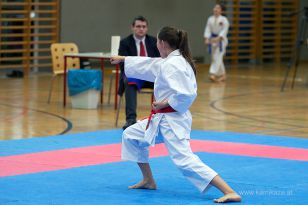 seibukan_Askoe_OOEKarate_Landesmeisterschaft_2013_051.jpg