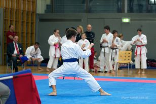 seibukan_Askoe_OOEKarate_Landesmeisterschaft_2013_071.jpg