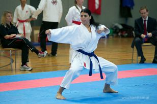 seibukan_Askoe_OOEKarate_Landesmeisterschaft_2013_123.jpg