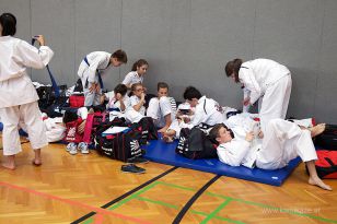 seibukan_Askoe_OOEKarate_Landesmeisterschaft_2013_130.jpg