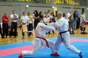 seibukan_Askoe_OOEKarate_Landesmeisterschaft_2013_196.jpg