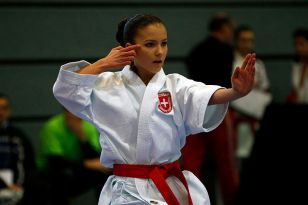 seibukan_Austrian_Karate_Champions_Cup_2010_012.jpg