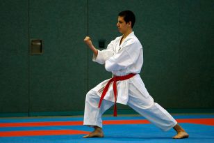 seibukan_Austrian_Karate_Champions_Cup_2010_017.jpg