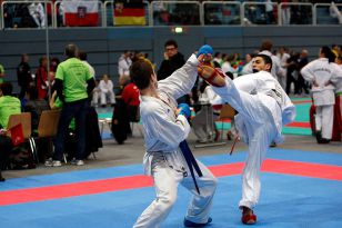 seibukan_Austrian_Karate_Champions_Cup_2010_065.jpg