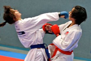 seibukan_Austrian_Karate_Champions_Cup_2010_074.jpg