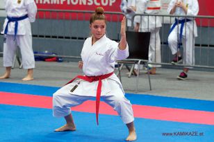 seibukan_Austrian_Karate_Championscup_2015_036.jpg