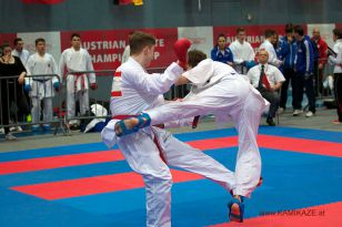 seibukan_Austrian_Karate_Championscup_2015_141.jpg