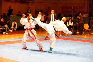 seibukan_Austrian_Open_Golden_League_2009_054.jpg