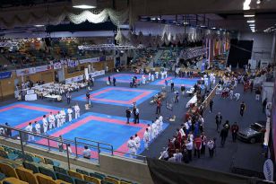 seibukan_ESKA_Shotokan_Europameisterschaft_in_Wels_2009_003.jpg