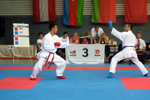 seibukan_Goju_Ryu_EM_Heilbronn_2014_057.jpg