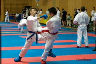 seibukan_Junior_Open_2016_064.jpg