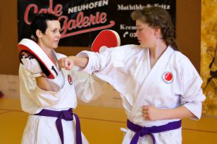 seibukan_KARATE_ein_Sport_fuer_Alt_und_Jung_2012_004.jpg