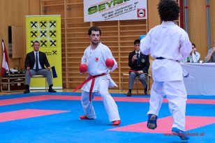 seibukan_Karate1_Premier_League_and_Youth_World Cup_Salzburg_2013_034.jpg