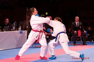 seibukan_Karate1_Premier_League_and_Youth_World Cup_Salzburg_2013_100.jpg