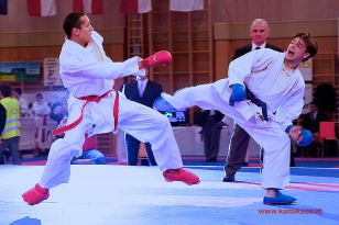 seibukan_Karate1_Premier_League_and_Youth_World Cup_Salzburg_2013_179.jpg