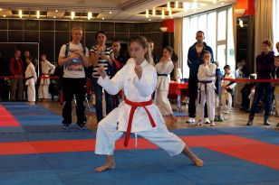 seibukan_Karate_Kids_Cup_Budweis_2014_004.jpg