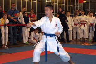 seibukan_Karate_Kids_Cup_Budweis_2014_005.jpg