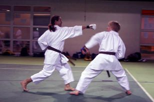 seibukan_Neue_Uebungsleiter_im_Dojo_Seibukan_2009_009.jpg