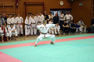 seibukan_Oesterr_Shotokan_Meisterschaft_2009_006.jpg