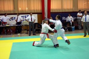 seibukan_Oesterr_Shotokan_Meisterschaft_2009_022.jpg