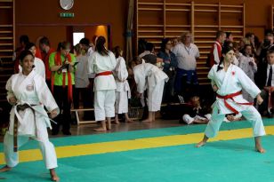 seibukan_Oesterr_Shotokan_Meisterschaft_2011_016.jpg