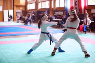 seibukan_Oesterr_Shotokan_Meisterschaft_2013_021.jpg